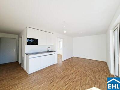 Terrassenwohnung mieten in 1220 Wien (Bild 3)