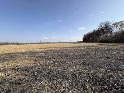Land- und Forstwirtschaft kaufen in 5274 Burgkirchen