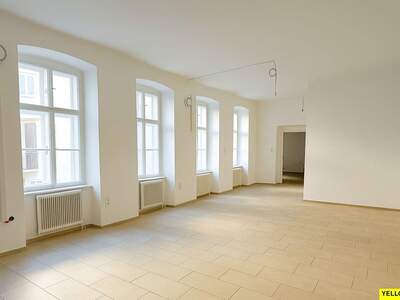 Gewerbeobjekt mieten in 1060 Wien