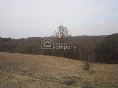 Grundstück kaufen in 8380 Jennersdorf