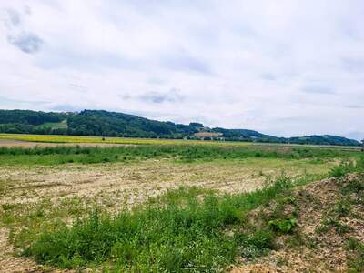 Grundstück kaufen in 8282 Bad Loipersdorf