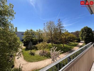 Terrassenwohnung mieten in 4030 Linz (Bild 4)