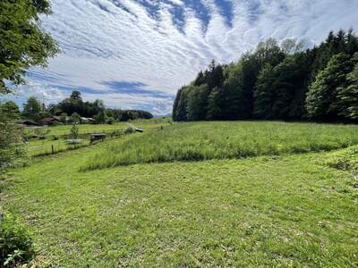 Grundstück kaufen in 4880 St. Georgen