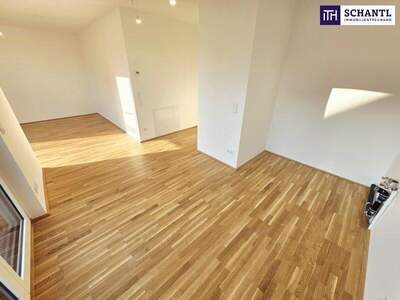 Terrassenwohnung kaufen in 1220 Wien (Bild 1)