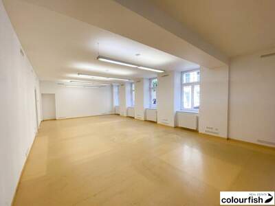 Gewerbeobjekt mieten in 1030 Wien (Bild 4)
