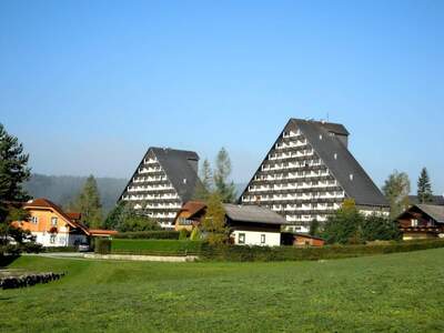 Wohnung kaufen in 8983 Bad Mitterndorf