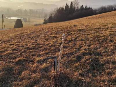 Gewerbeobjekt kaufen in 8162 Passail