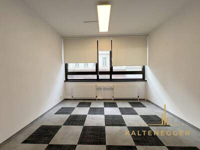 Gewerbeobjekt mieten in 1080 Wien (Bild 2)