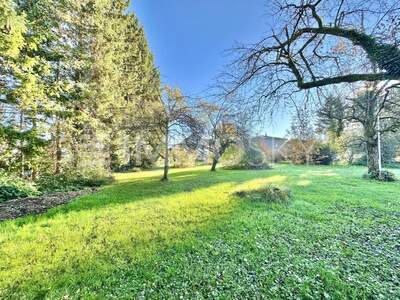 Grundstück kaufen in 6972 Fußach (Bild 3)