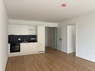 Wohnung mieten in 2331 Vösendorf