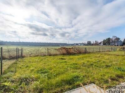 Terrassenwohnung kaufen in 3100 St. Pölten (Bild 4)