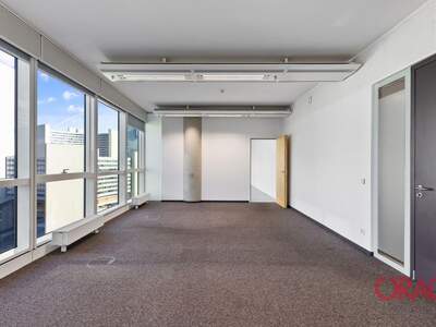 Gewerbeobjekt mieten in 1220 Wien (Bild 5)