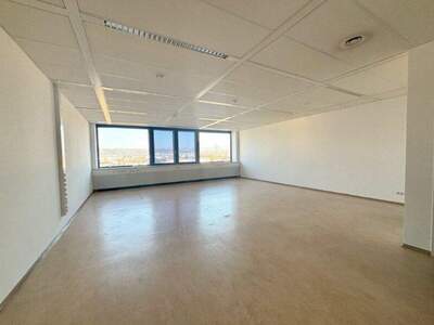 Büro / Praxis mieten in 2351 Wr. Neudorf (Bild 3)