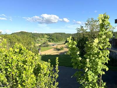 Haus mit Garten kaufen in 8342 Gnas (Bild 5)