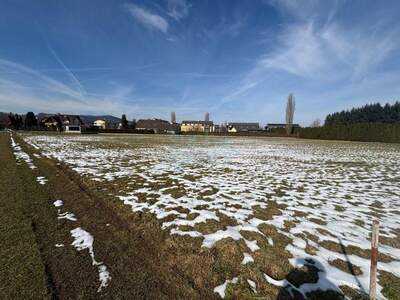 Grundstück kaufen in 8430 Leibnitz