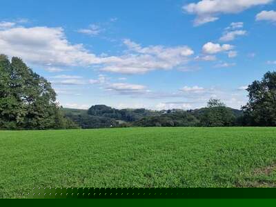 Grundstück kaufen in 8380 Jennersdorf