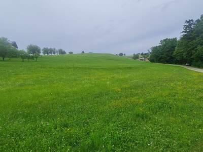 Grundstück kaufen in 3353 Seitenstetten (Bild 4)