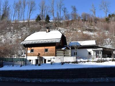 Haus kaufen in 9861 Eisentratten