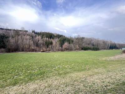 Gewerbeobjekt kaufen in 4782 Sankt Florian