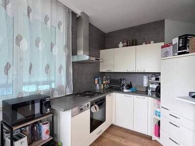 Wohnung provisionsfrei mieten in 4690 Schwanenstadt