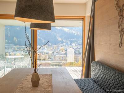 Terrassenwohnung kaufen in 8970 Schladming (Bild 3)