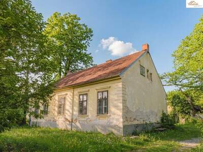 Haus kaufen in 2823 Pitten