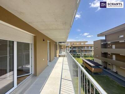 Terrassenwohnung kaufen in 8401 Kalsdorf (Bild 1)