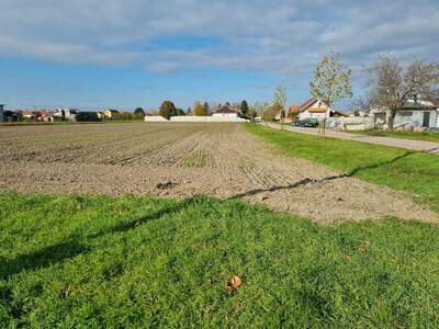 Grundstück kaufen in 7162 Tadten