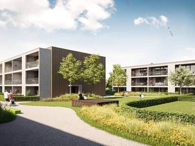 Anlageobjekt kaufen in 6973 Höchst