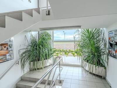 Gewerbeobjekt mieten in 3382 Loosdorf (Bild 2)