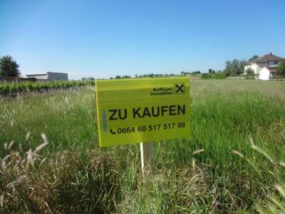 Grundstück kaufen in 7091 Breitenbrunn