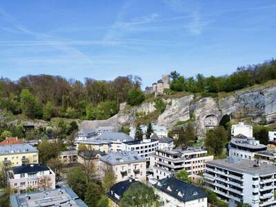 Haus kaufen in 5020 Salzburg