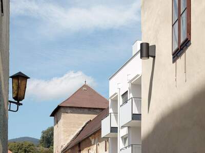 Wohnung kaufen in 9300 St. Veit (Bild 3)