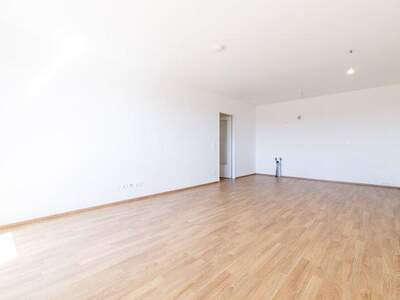 Terrassenwohnung mieten in 2700 Wr. Neustadt (Bild 5)