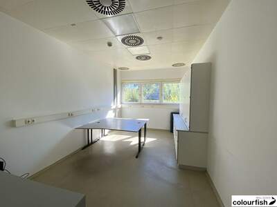 Gewerbeobjekt mieten in 1210 Wien (Bild 2)