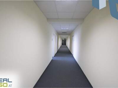 Gewerbeobjekt mieten in 4040 Linz (Bild 2)
