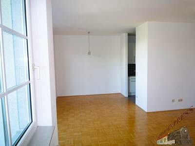 Terrassenwohnung mieten in 2320 Schwechat (Bild 4)