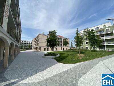 Terrassenwohnung mieten in 3451 Michelhausen (Bild 5)