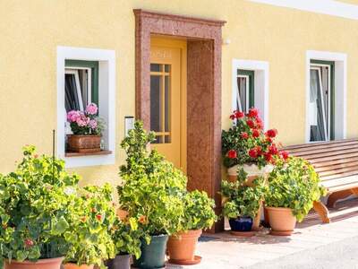 Wohnung mieten in 5061 Elsbethen
