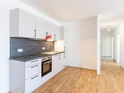 Wohnung mieten in 8430 Leibnitz