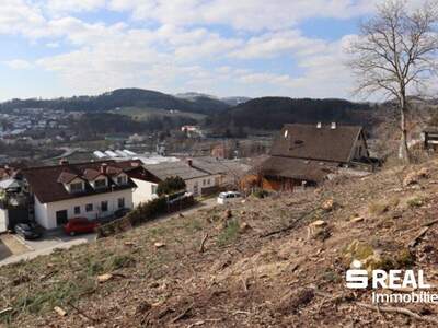 Grundstück kaufen in 4210 Gallneukirchen (Bild 3)