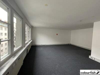 Gewerbeobjekt mieten in 1040 Wien (Bild 2)