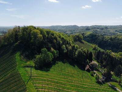 Gewerbeobjekt kaufen in 8462 Gamlitz