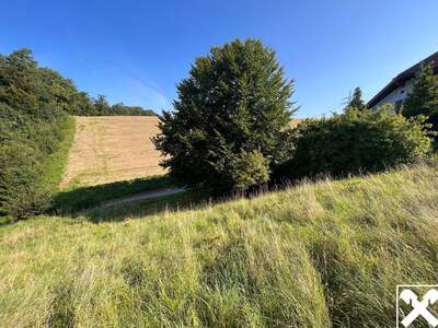 Grundstück kaufen in 4441 Behamberg (Bild 1)