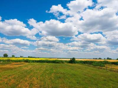 Grundstück kaufen in 7092 Winden