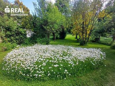 Haus kaufen in 3843 Dobersberg (Bild 3)