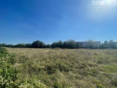 Gewerbeobjekt kaufen in 2521 Trumau (Bild 2)