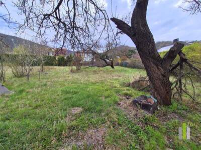 Grundstück kaufen in 2410 Hainburg