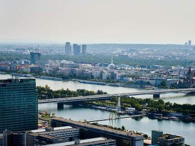 Terrassenwohnung kaufen in 1220 Wien (Bild 1)