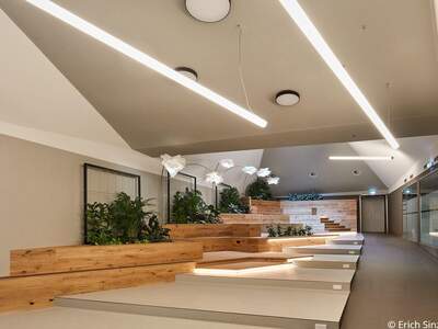 Gewerbeobjekt mieten in 1100 Wien (Bild 1)